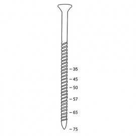 Scrail de 2000 vis INOX Torx (TX) 16° SCRAIL 25/28 x 35 mm - 16S25359TX - Alsafix