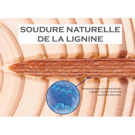 3060 pointes bois d'hêtre en rouleaux Lignoloc D. 3,7 x 65 mm - 16S3765W - Alsafix