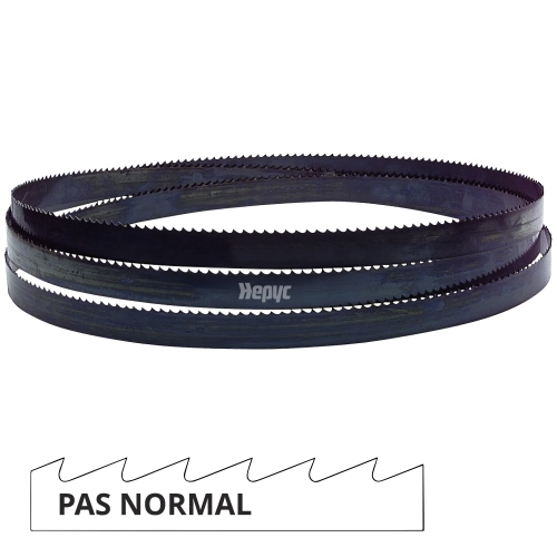 Lame de scie à ruban métal PAE 1735 x 13 x 0,65 mm x 6 TPI pas normal - Bi-métal M42 - 72050501735 - Hepyc