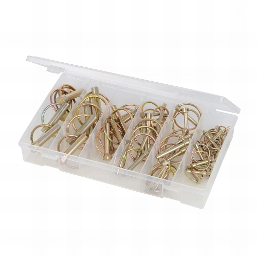 Coffret de goupilles clips 50 pcs - 249505 - Fixman