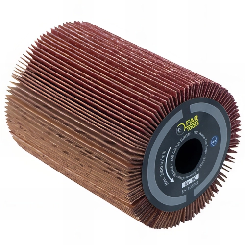 Brosse à lamelles D. 80 L. 100 mm pour REX80